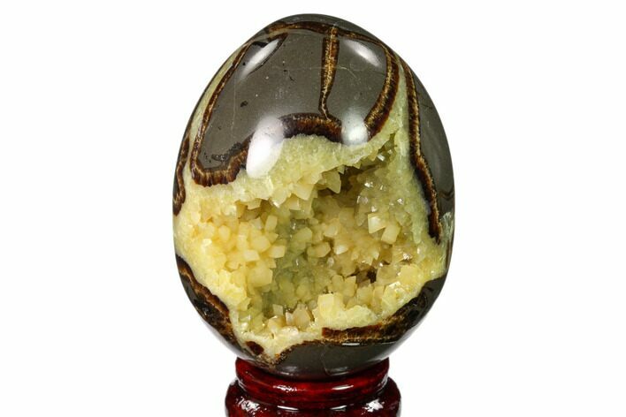 Calcite Crystal Filled Septarian Geode Egg - Utah #149938